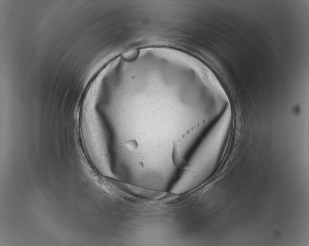 X0000115521198200911271316