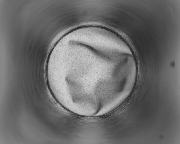 X0000115521199200911271316