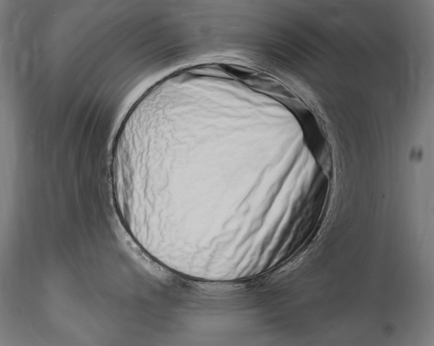 X0000115521200200911271316