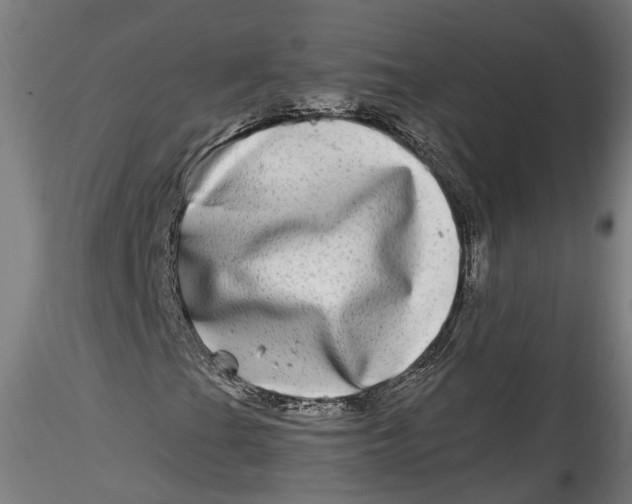 X0000115521201200911271315