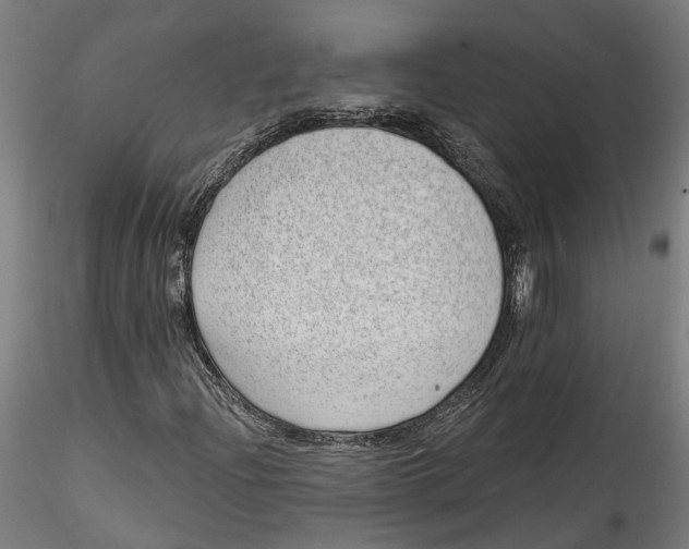 X0000115521204200911271315