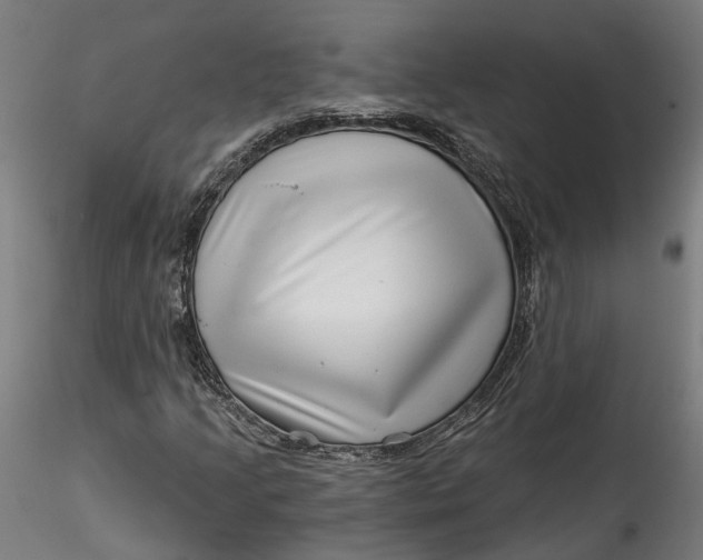 X0000115521205200911271315