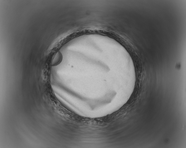 X0000115521207200911271315