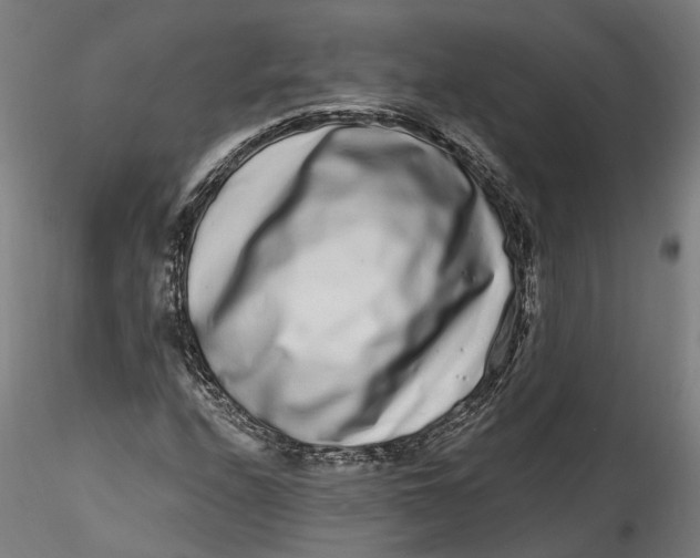 X0000115521208200911271315