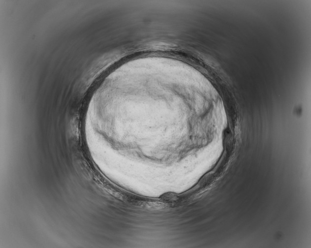 X0000115521209200911271315