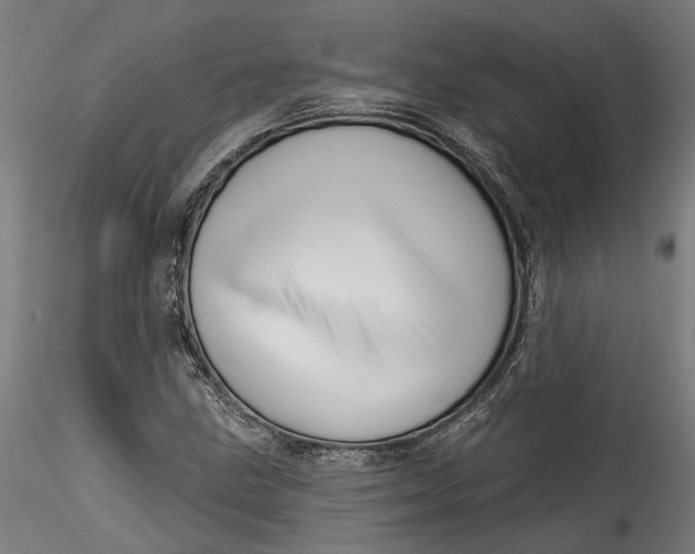 X0000115521211200911271315