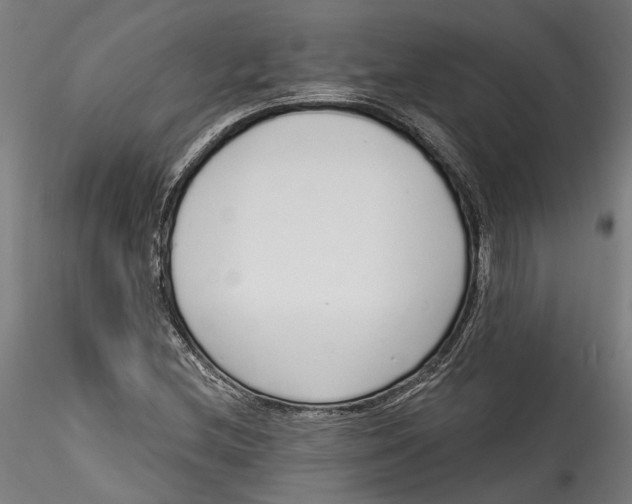 X0000115521212200911271315