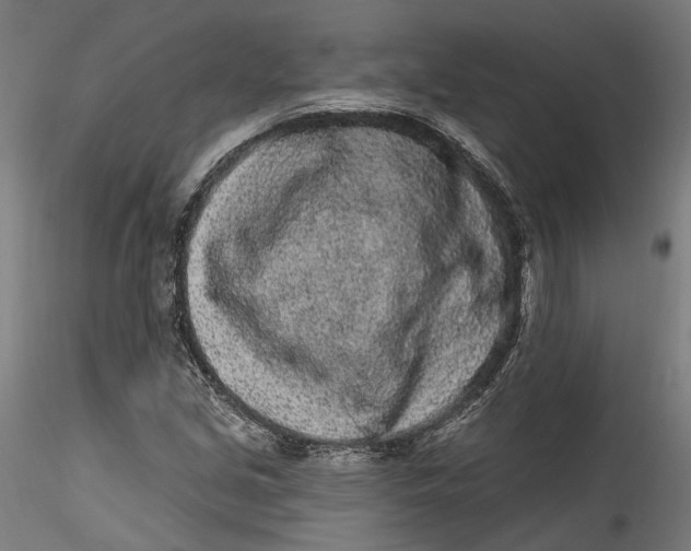 X0000115521213200911271315