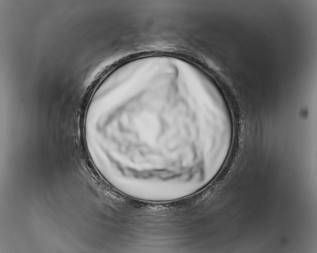 X0000115521214200911271315