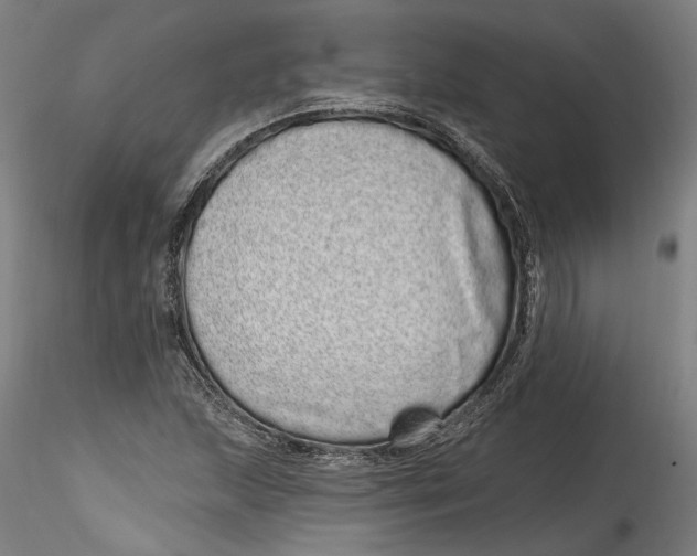 X0000115521215200911271315