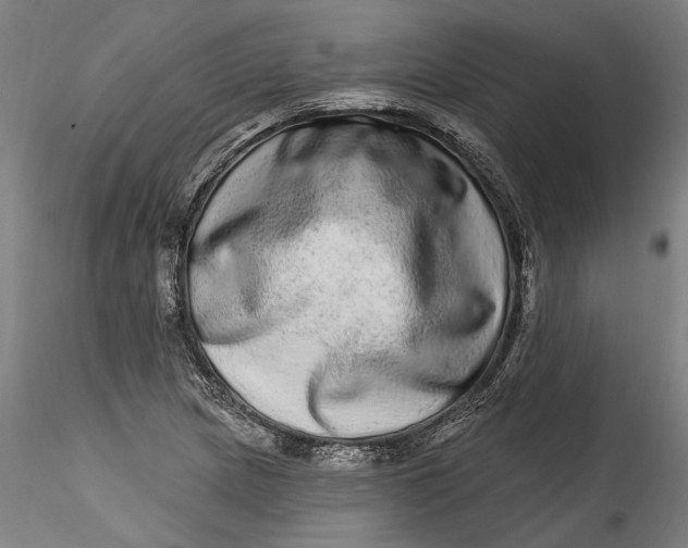 X0000115521217200911271315