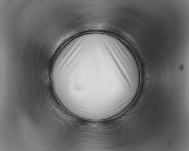 X0000115521218200911271315