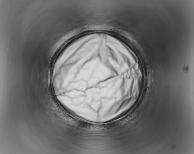 X0000115521221200911271315