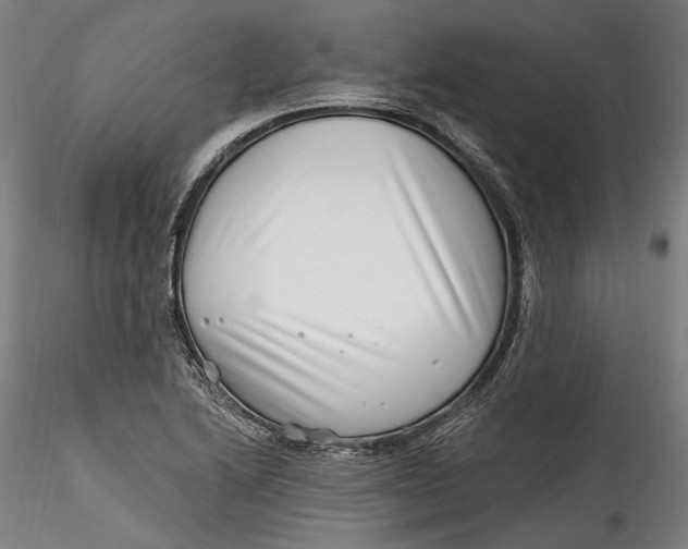 X0000115521222200911271315