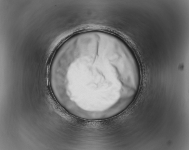 X0000115521223200911271315