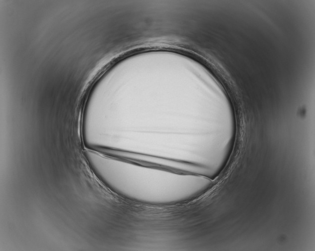 X0000115521224200911271315