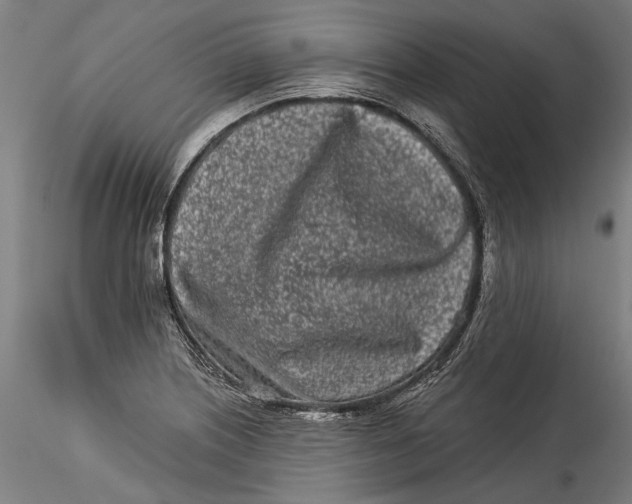 X0000115521226200911271315