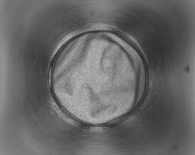 X0000115521227200911271315