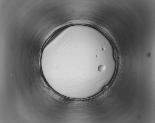 X0000115521228200911271315