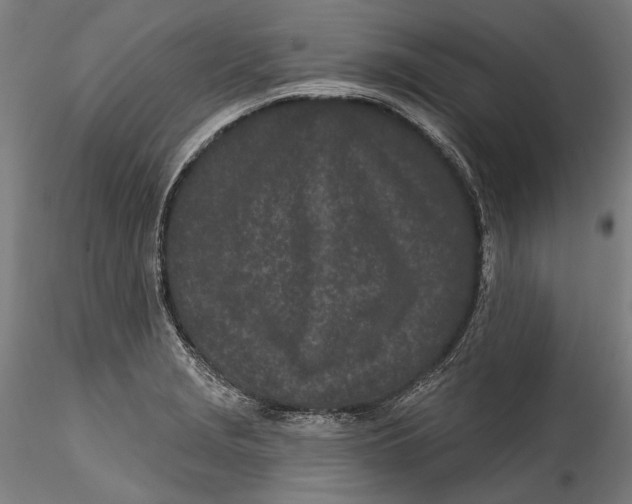 X0000115521229200911271315