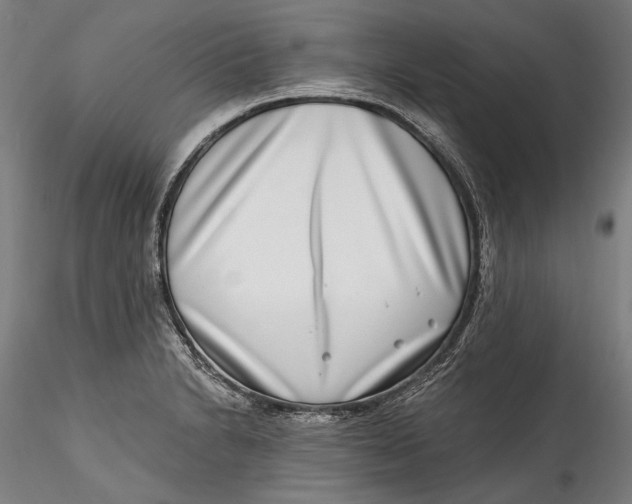 X0000115521230200911271315