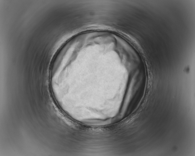 X0000115521231200911271315