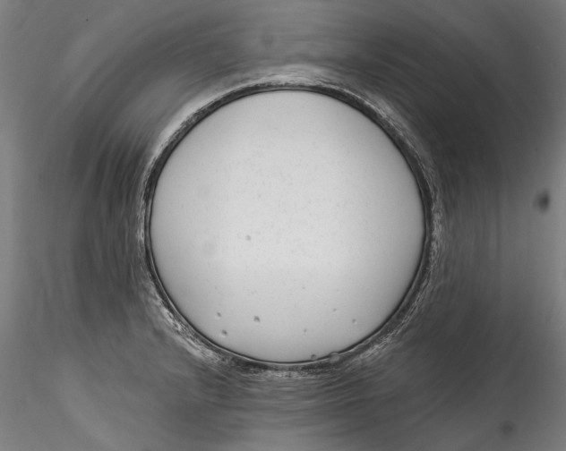 X0000115521232200911271315