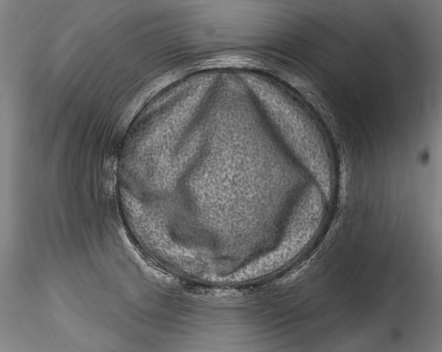 X0000115521233200911271315