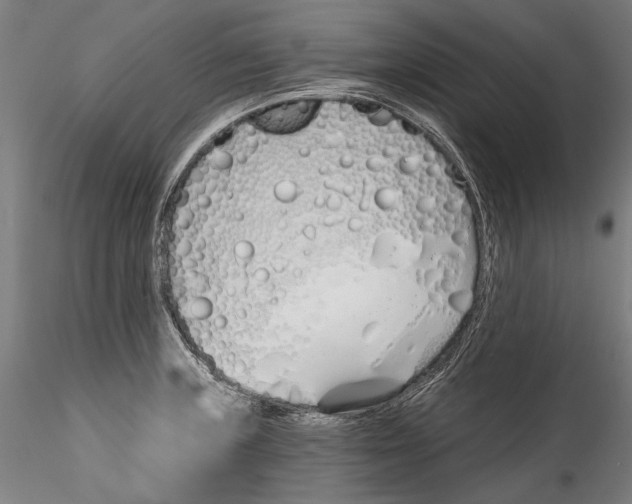 X0000115521235200911271315