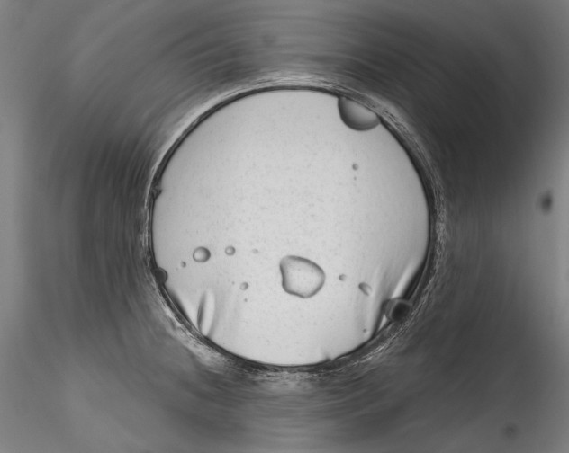 X0000115521236200911271315