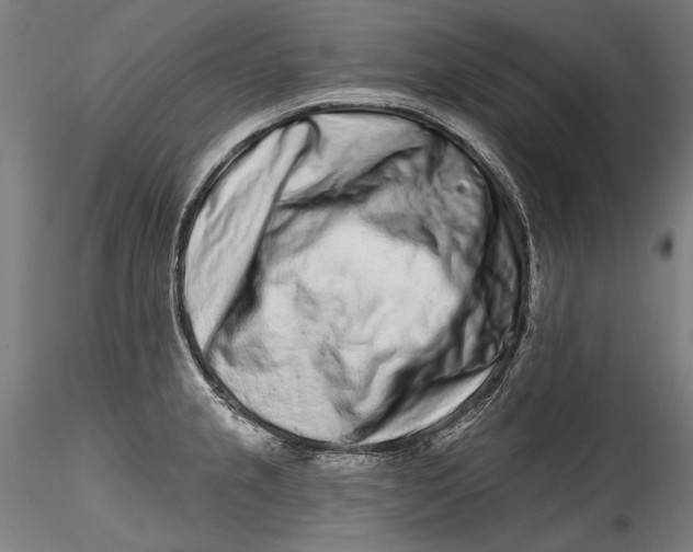 X0000115521237200911271315