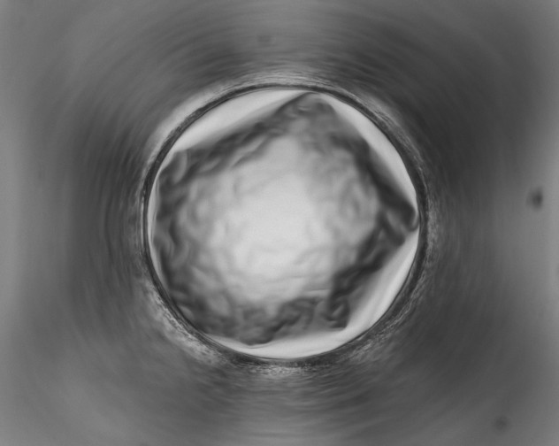 X0000115521238200911271315