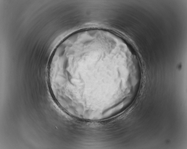 X0000115521239200911271316