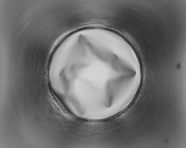 X0000115521240200911271316