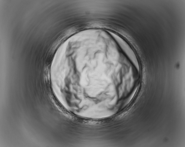 X0000115521241200911271316