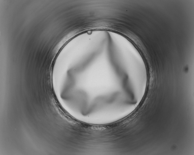 X0000115521242200911271316