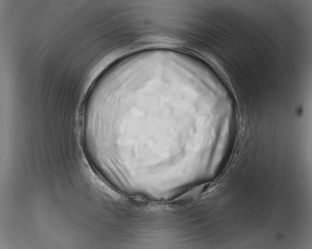 X0000115521243200911271316