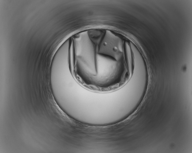 X0000115521244200911271316