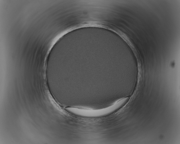 X0000115521246200911271316