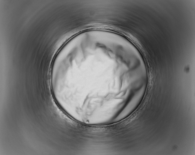 X0000115521247200911271316