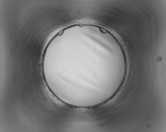 X0000115521248200911271316