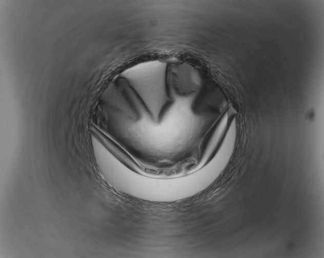 X0000115521249200911271315