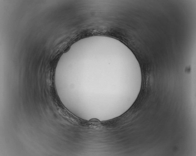 X0000115521250200911271315