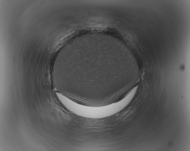 X0000115521252200911271315