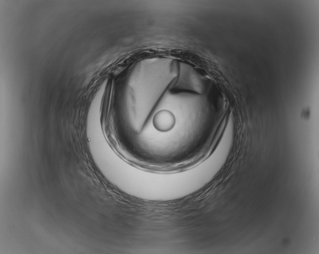 X0000115521253200911271315