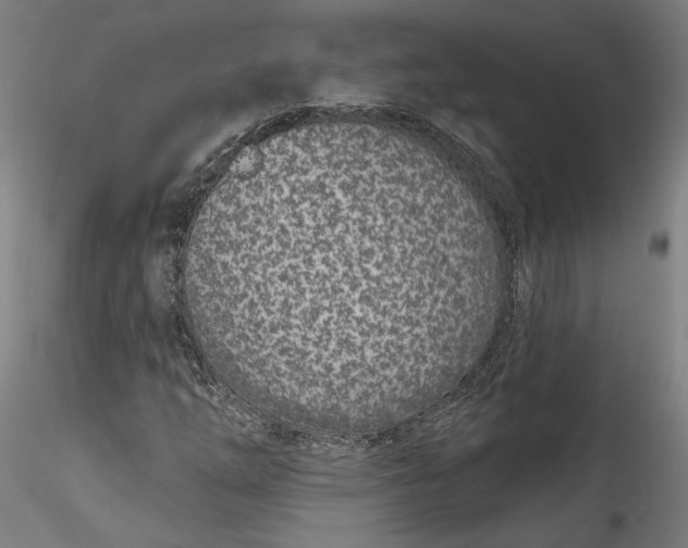 X0000115521254200911271315