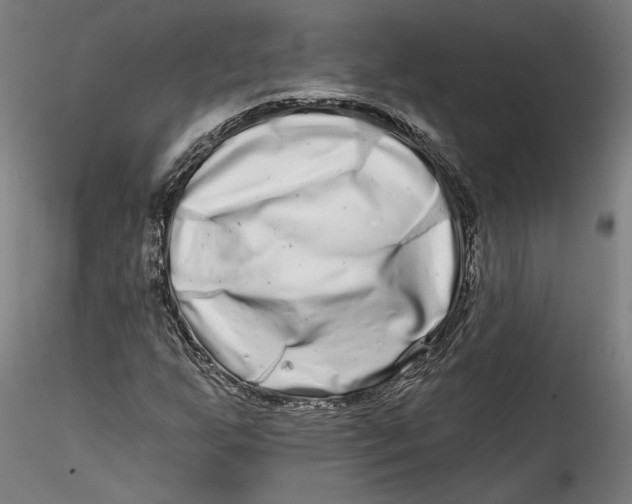 X0000115521255200911271315