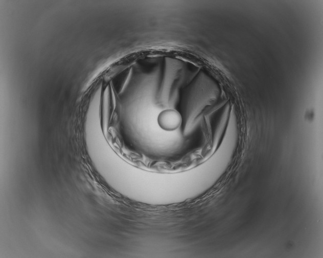 X0000115521256200911271315