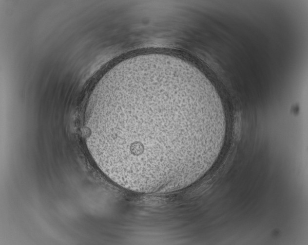 X0000115521258200911271315