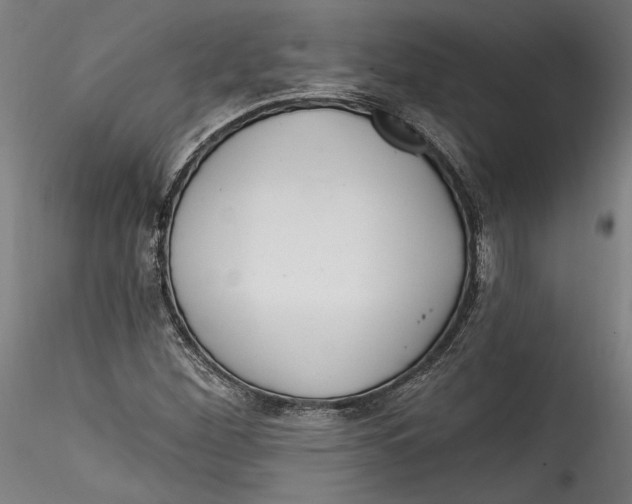 X0000115521260200911271315